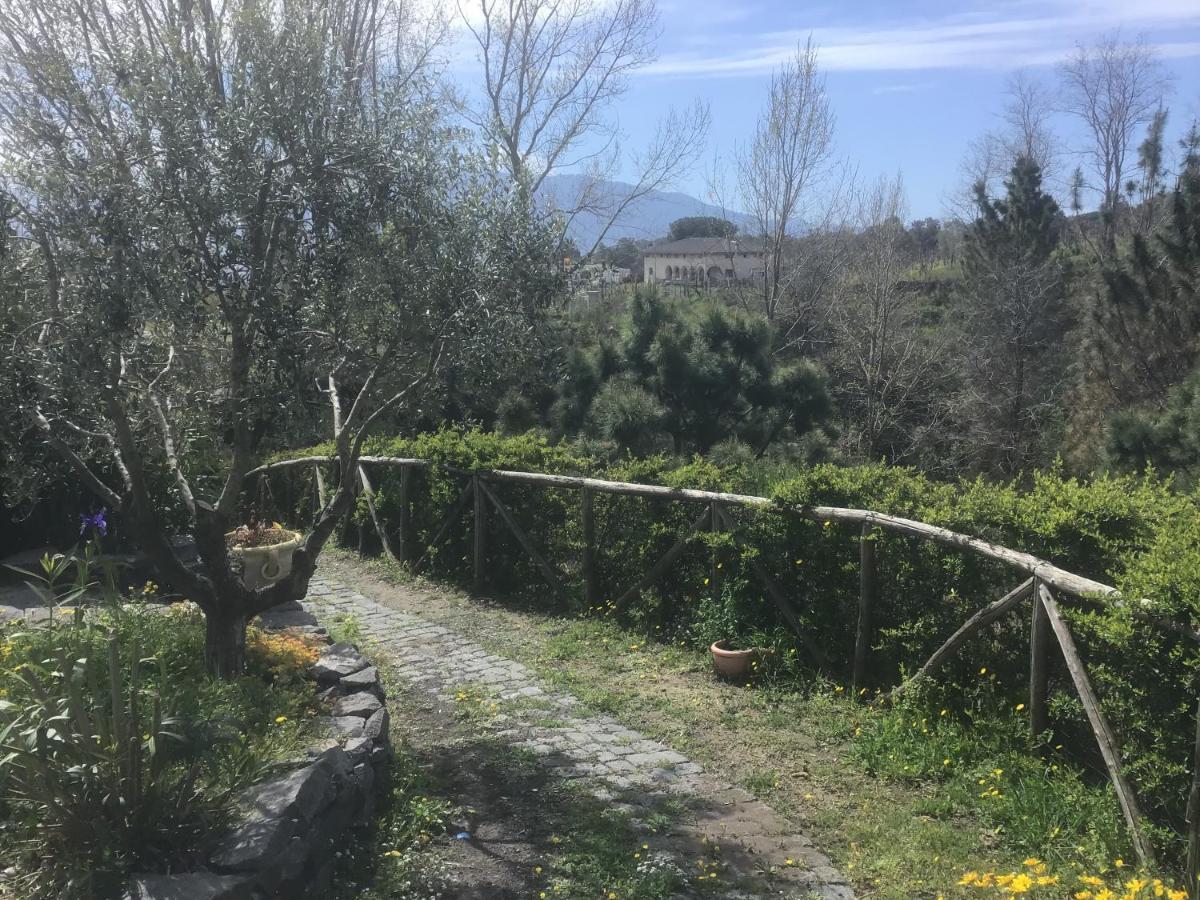Tenuta Terradifuoco Terzigno Exteriör bild